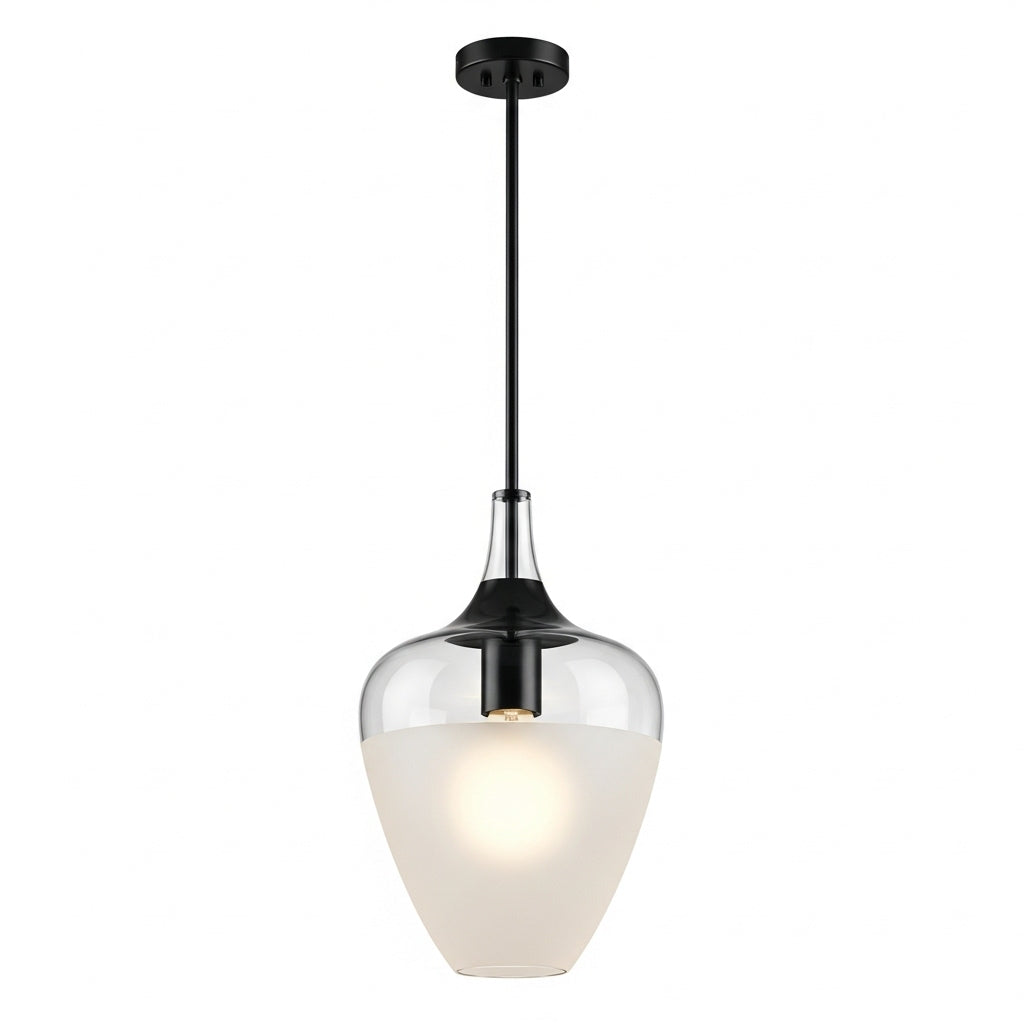 LED black pendant light